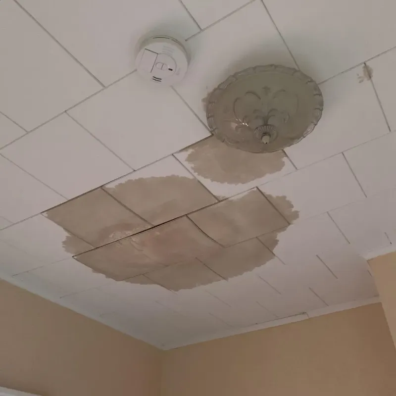 Ceiling Water Damage Repair in Ames, TX