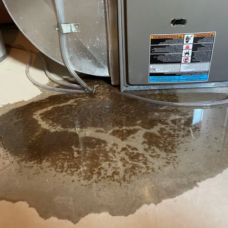 Pipe Burst and Leak Restoration in Ames, TX