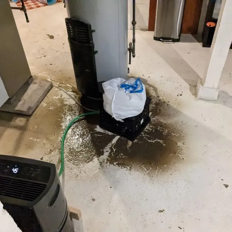 Sewage Backup Cleanup Service in Ames, TX